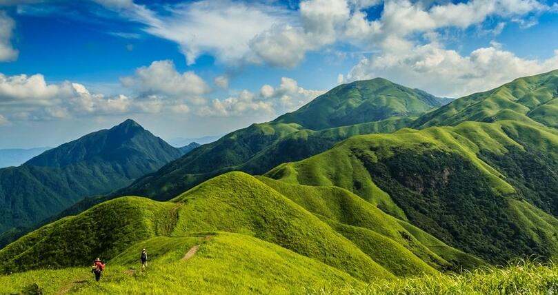 武功山高山草甸