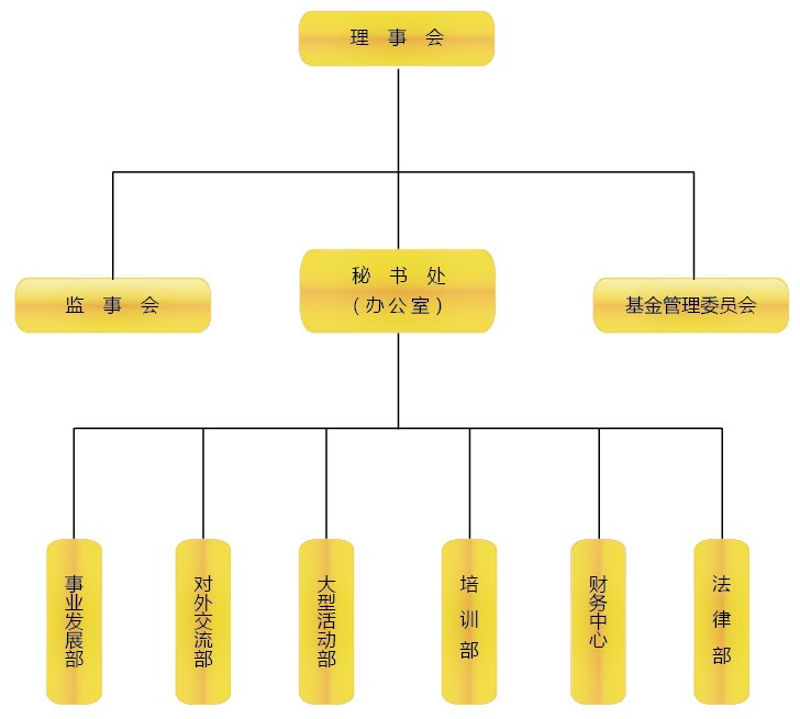 中國關心下一代健康體育基金會