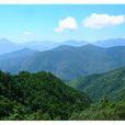 翠峰山(雲南省曲靖市翠峰山)