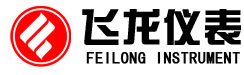 飛龍儀表LOGO