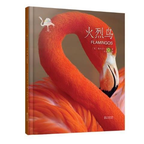 火烈鳥(2018年浙江文藝出版社出版的圖書)