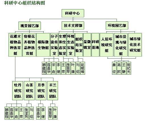 科研中心組織結構圖