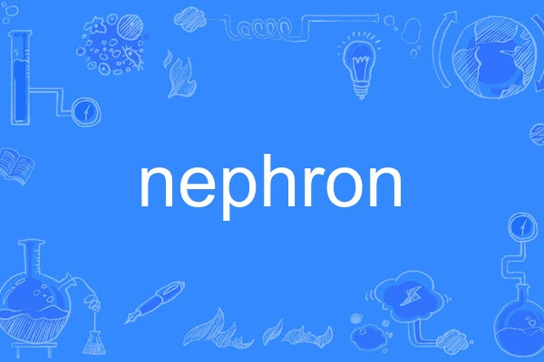 nephron