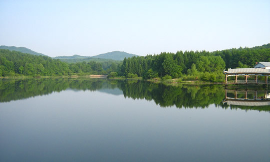 黑龍江八里灣國家森林公園