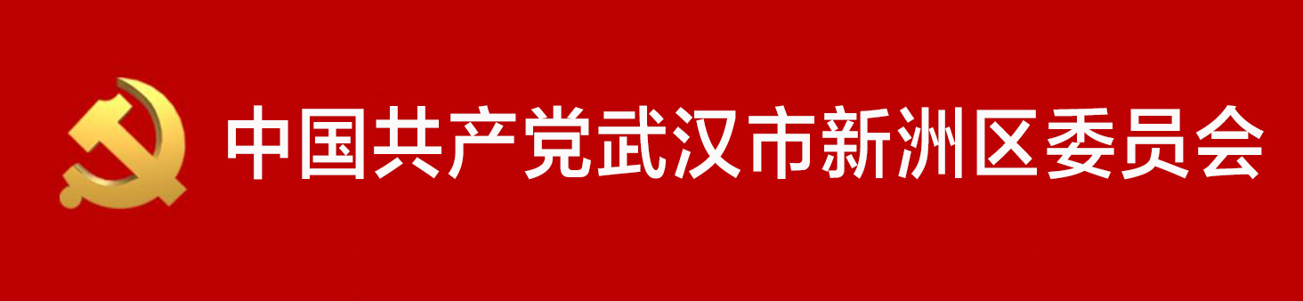 中國共產黨武漢市新洲區委員會