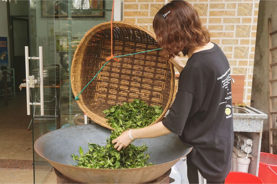 台山白雲茶製作技藝