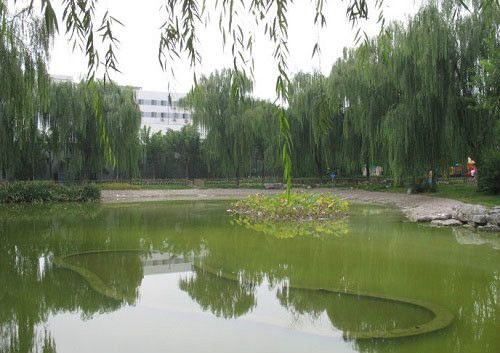 豐臺科技園生態主題公園