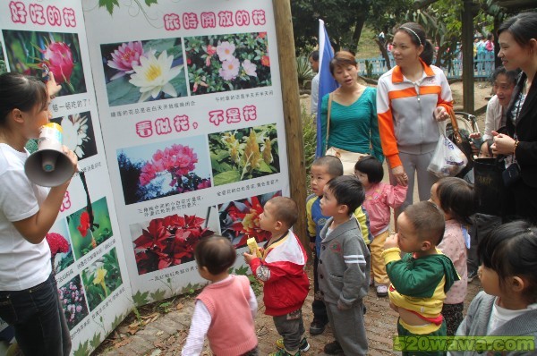 深圳市龍崗區童約國際幼稚園