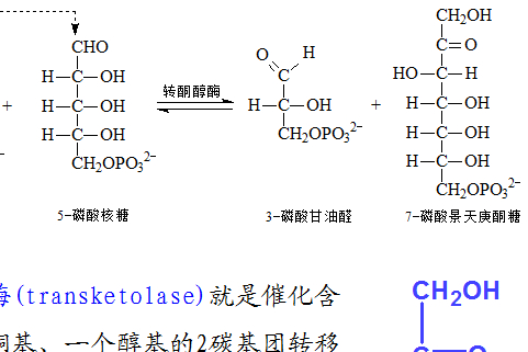 磷酸甘油醛