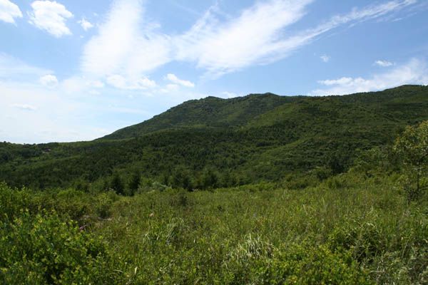 高山季節移牧