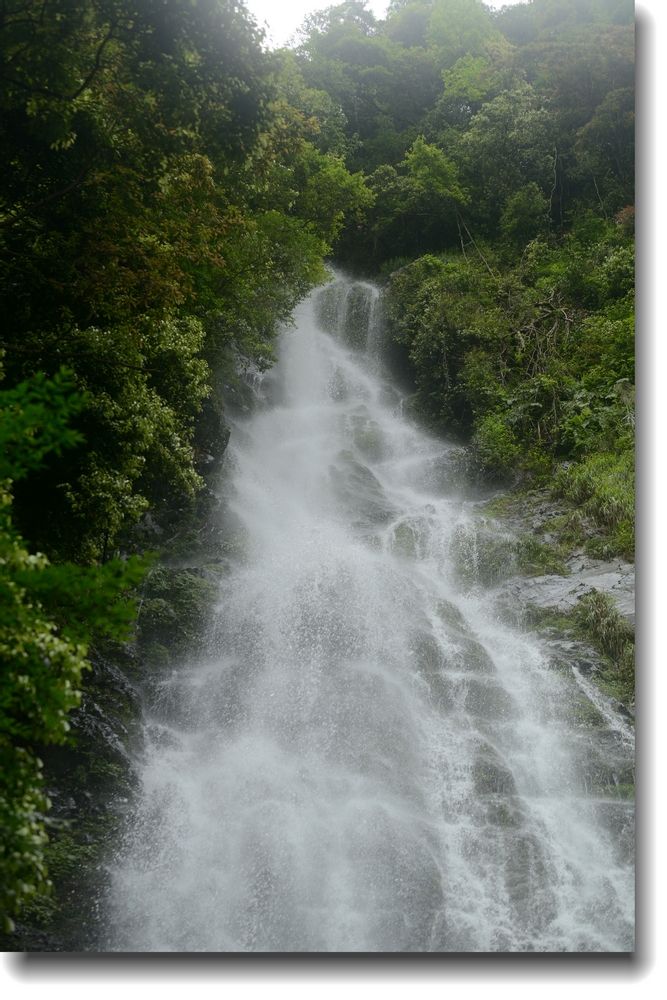 廣東桂峰山省級森林公園