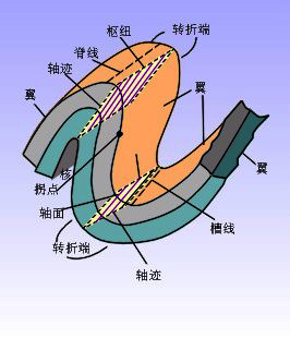 相似褶皺