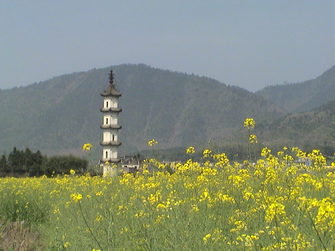 碧陽鎮碧山村