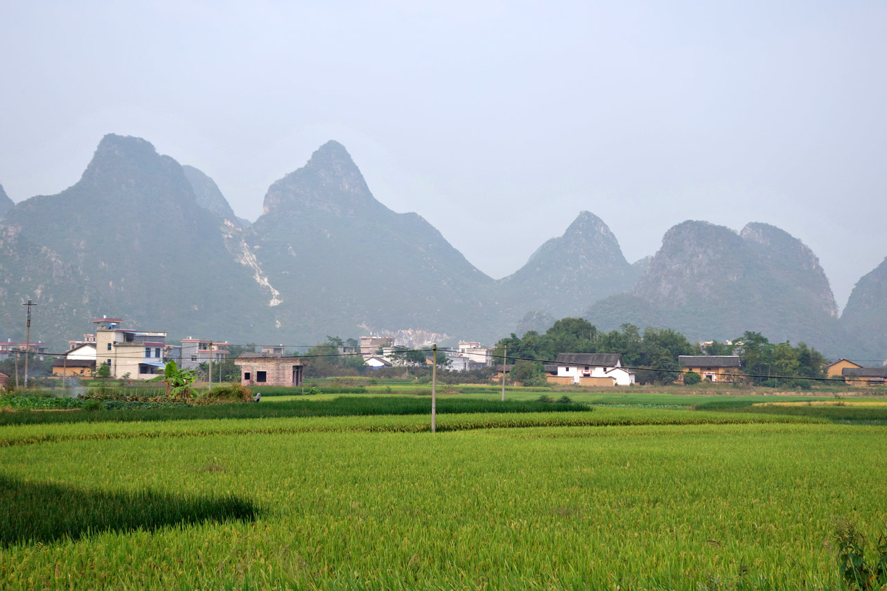 樂塘村(湖南新田縣十字鄉樂塘村)