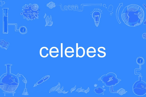 celebes