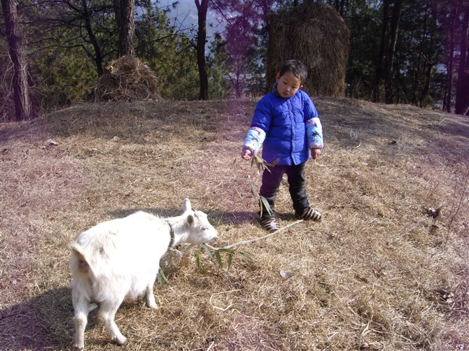 牌形鋪村