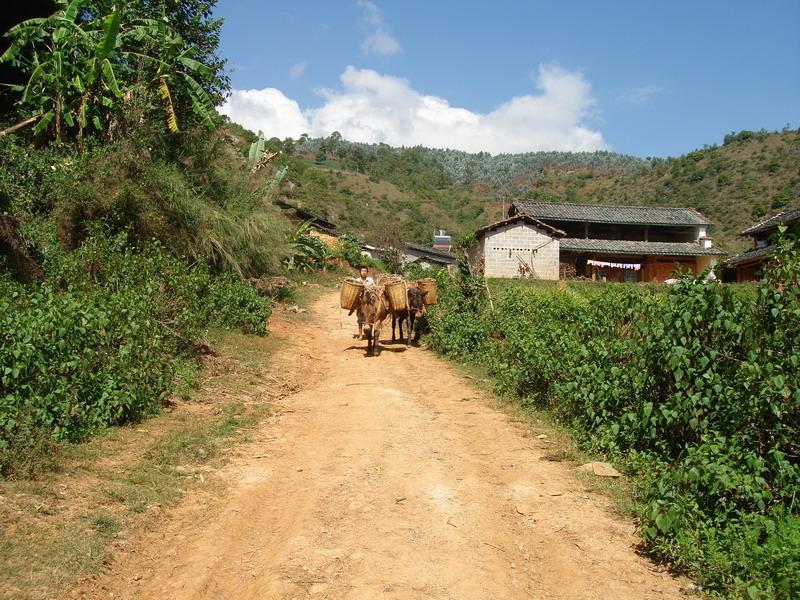 鋪子房自然村