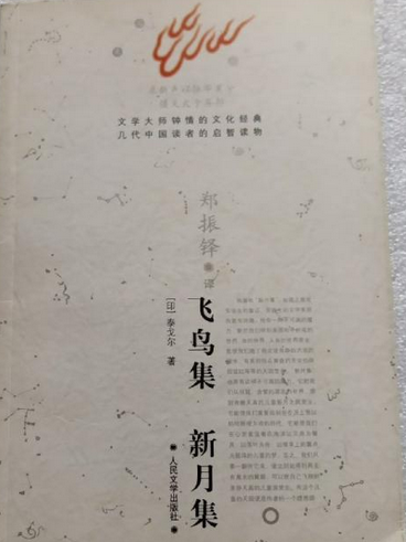 飛鳥集新月集(2007年人民文學出版社出版的圖書)