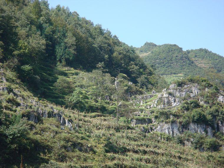 老林自然村(林口彝族苗族鄉木黑村委會下轄自然村)