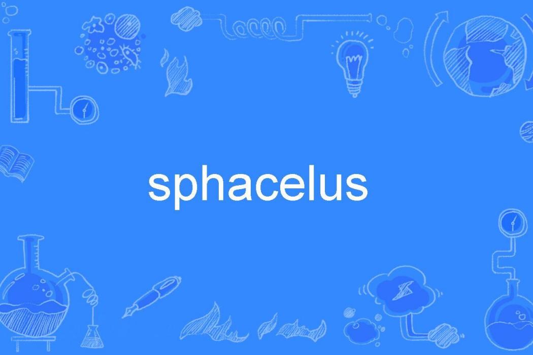 sphacelus