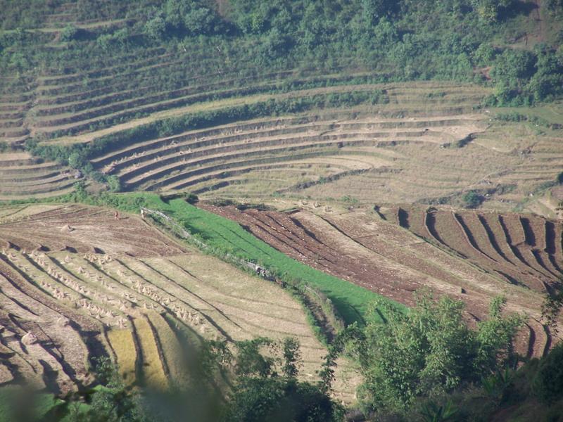 螞蝗箐村