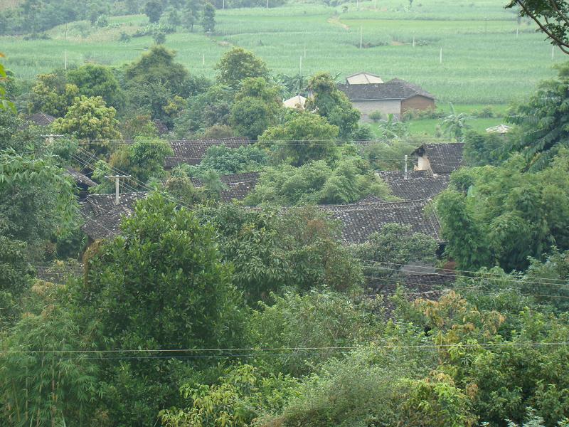 會坪坡自然村