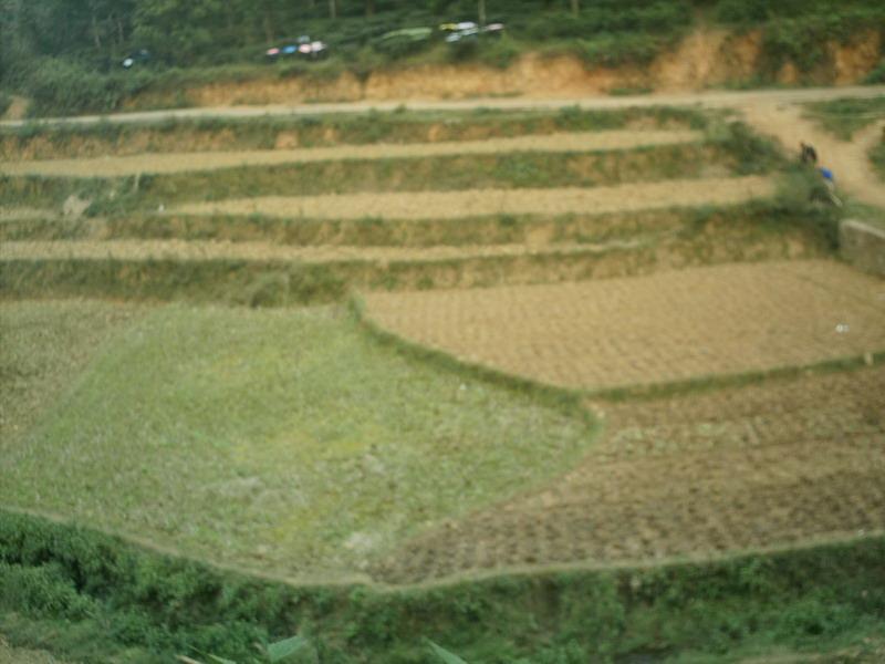 南達村(雲南省文山州廣南縣蓮城鎮南達村)