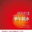 杜拉拉2：華年似水(2010年大智文化出版的圖書)