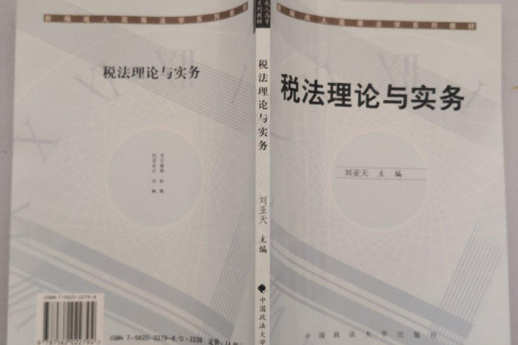 稅法理論與實務(2003年中國政法大學出版社出版的圖書)