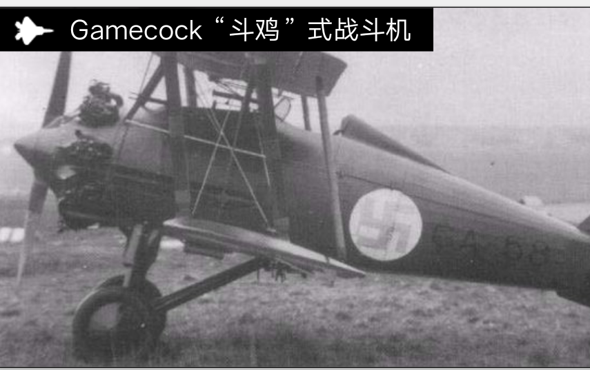 Gamecock“鬥雞”式戰鬥機