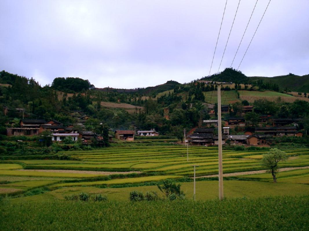 白得村(雲南蒙自縣芷村鎮下轄村)