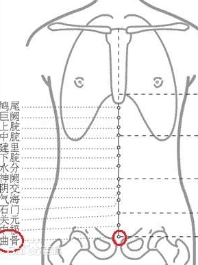 曲骨穴正門示意圖