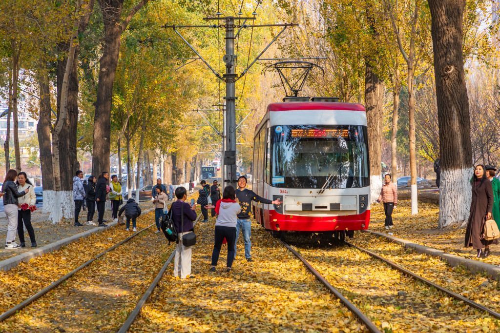 兩用公共電力汽車