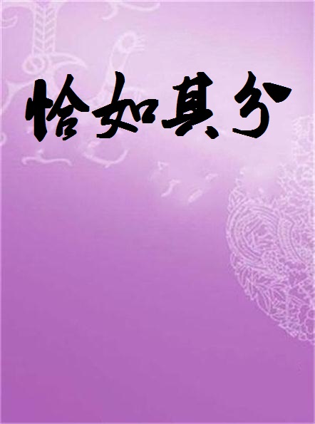 恰如其分(小說)