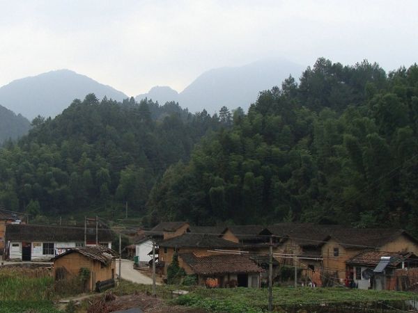 石村村(廣東省高要市活道鎮石村村)