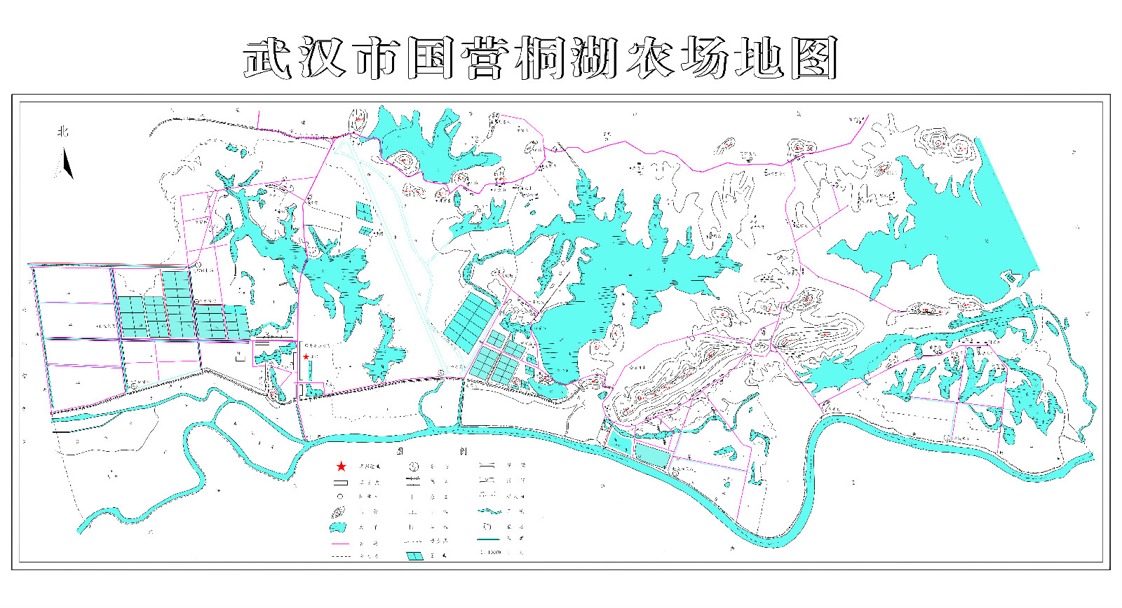 桐湖辦事處