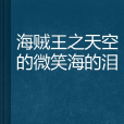 海賊王之天空的微笑海的淚