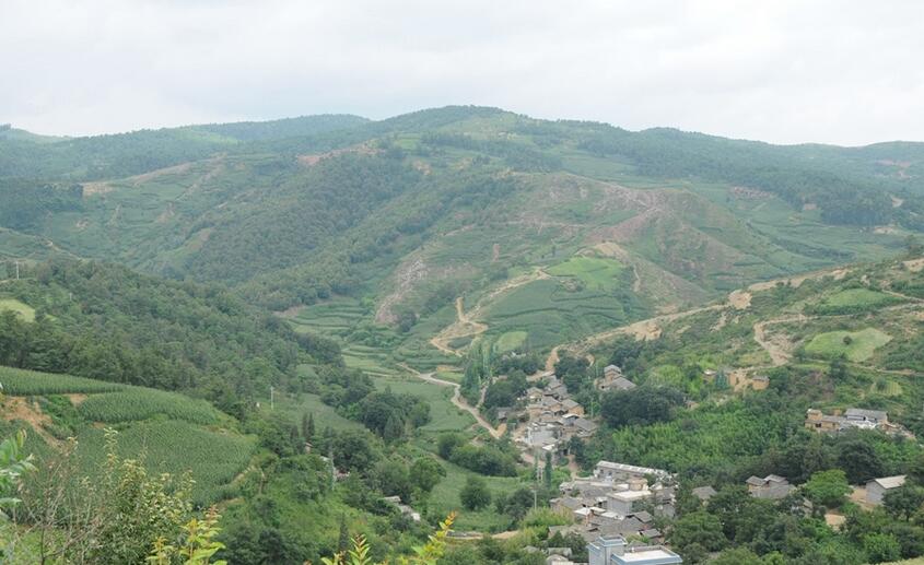 秧草凹村(雲南石林縣鹿阜鎮下轄村)