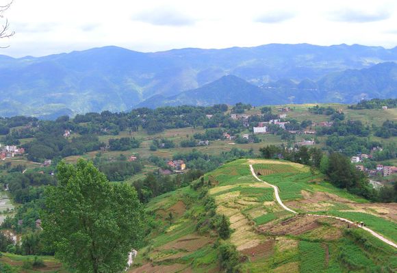 白土寨自然村(雲南文山市秉烈彝族鄉秉烈村下轄自然村)