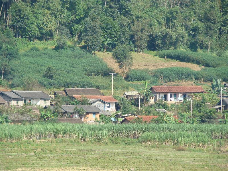 芒友村