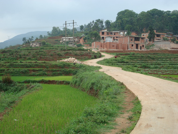 進村道路