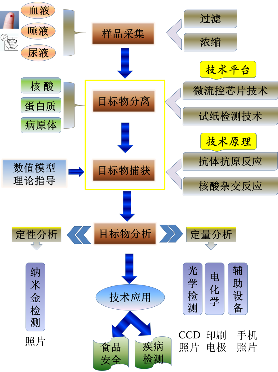 西安交通大學仿生工程與生物力學中心