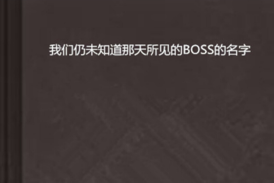 我們仍未知道那天所見的BOSS的名字