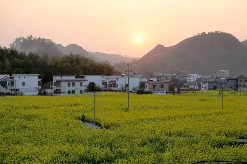 梅花鎮(廣東韶關市樂昌市梅花鎮)