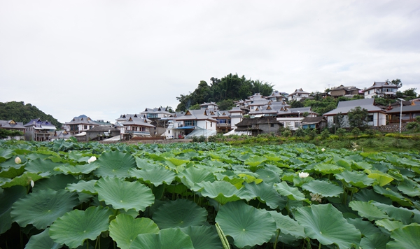 景信鄉