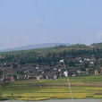 東營村(雲南省大理州鶴慶縣辛屯鎮東營村)