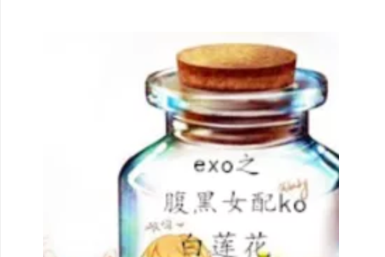 exo之腹黑女配ko白蓮花