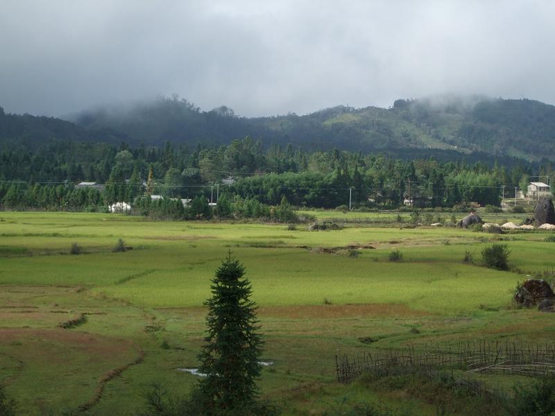 黃蓮河村