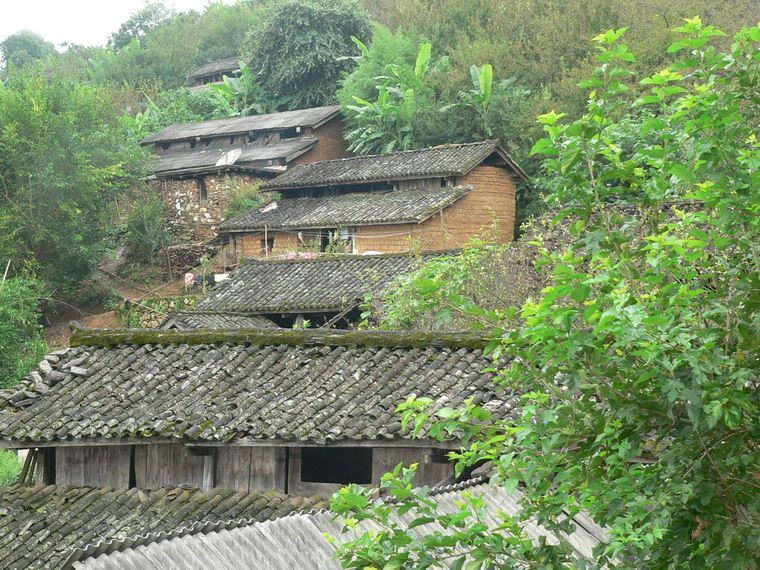 老王村(雲南新平縣漠沙鎮下轄村)