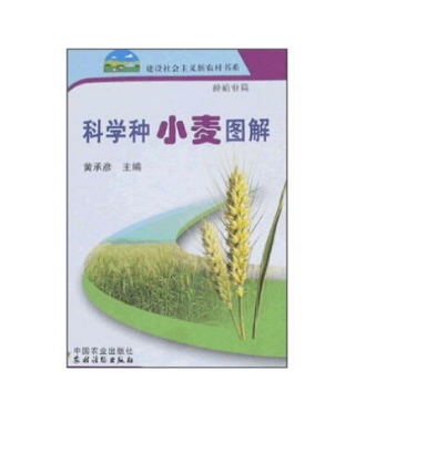 科學種小麥圖解：種植業篇